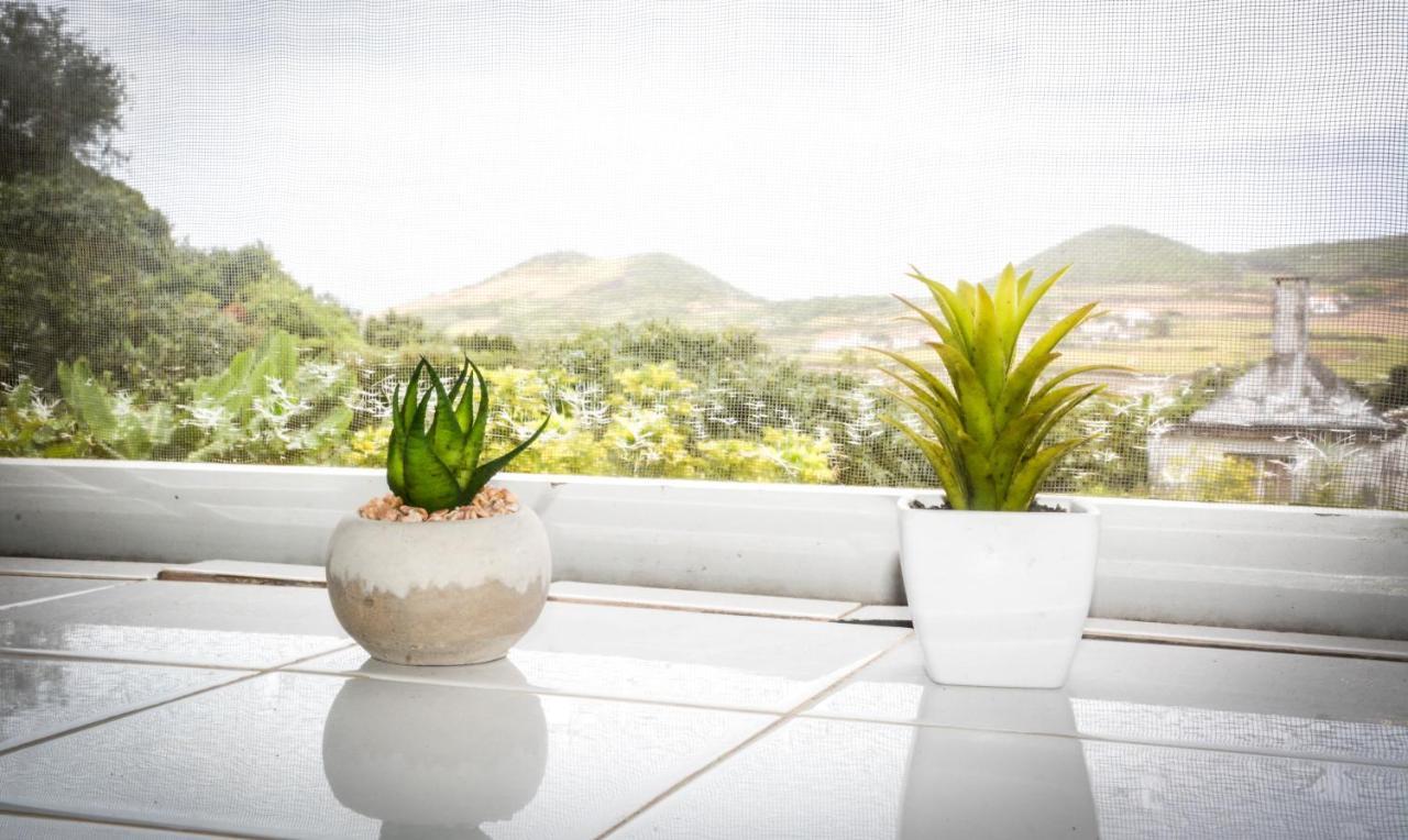 Vila Quinta Dos Frutos Santa Cruz da Graciosa Exteriér fotografie