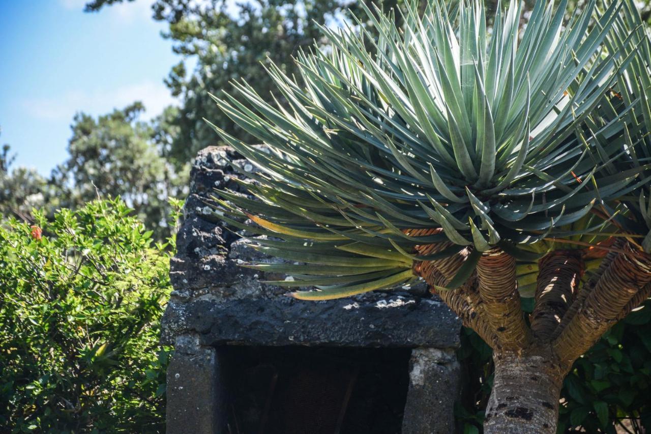 Vila Quinta Dos Frutos Santa Cruz da Graciosa Exteriér fotografie